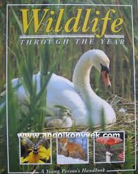 Wildlife Through the Year.
