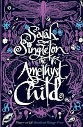 the amethyst child

