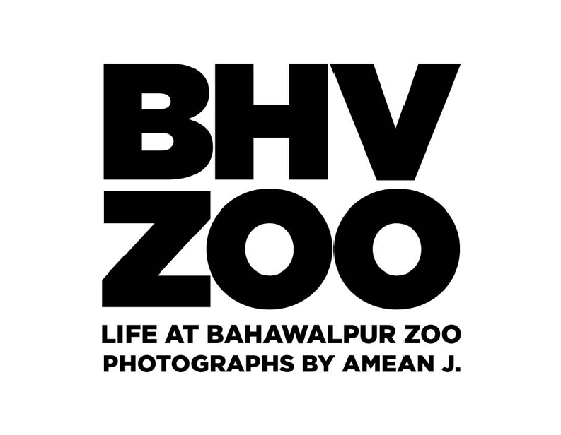 bhv zoo - life at bahawalpur zoo