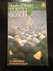 Turtle beach
