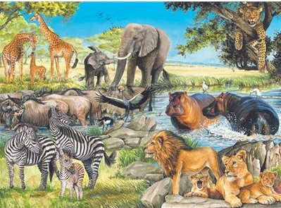 Africa's Animals
