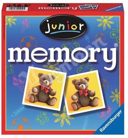 Memory Flash Cards
