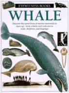 Whale.
