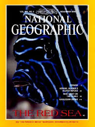 National Geographic Nov 1993 The red sea.
