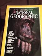 National Geographic Mar 1992 Apes and Humans.
