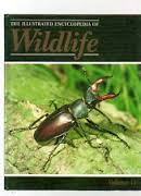 The Illustrated encyclopedia of Wildlife vol 43
