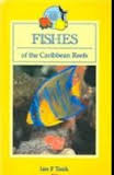 Fishes of the Caribbean Reefs.
