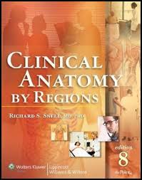 clinical anatomy by regions 8th edition
