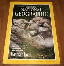 july 1992 mountain lions