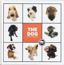the dog: artlist collection