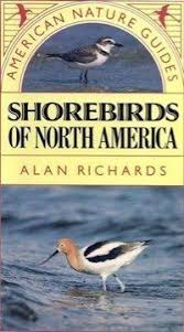 american nature guides: shore birds of north america