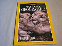 National Geographic July 1992 Mountain Lions.
