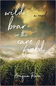 wild boar in the cane field
