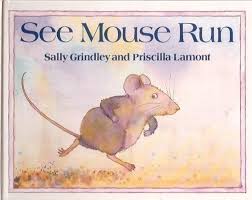 see mouse run