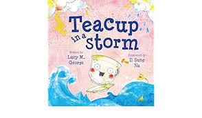 teacup in a storm ( board book )