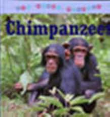 chimpanzees ( all about animals )