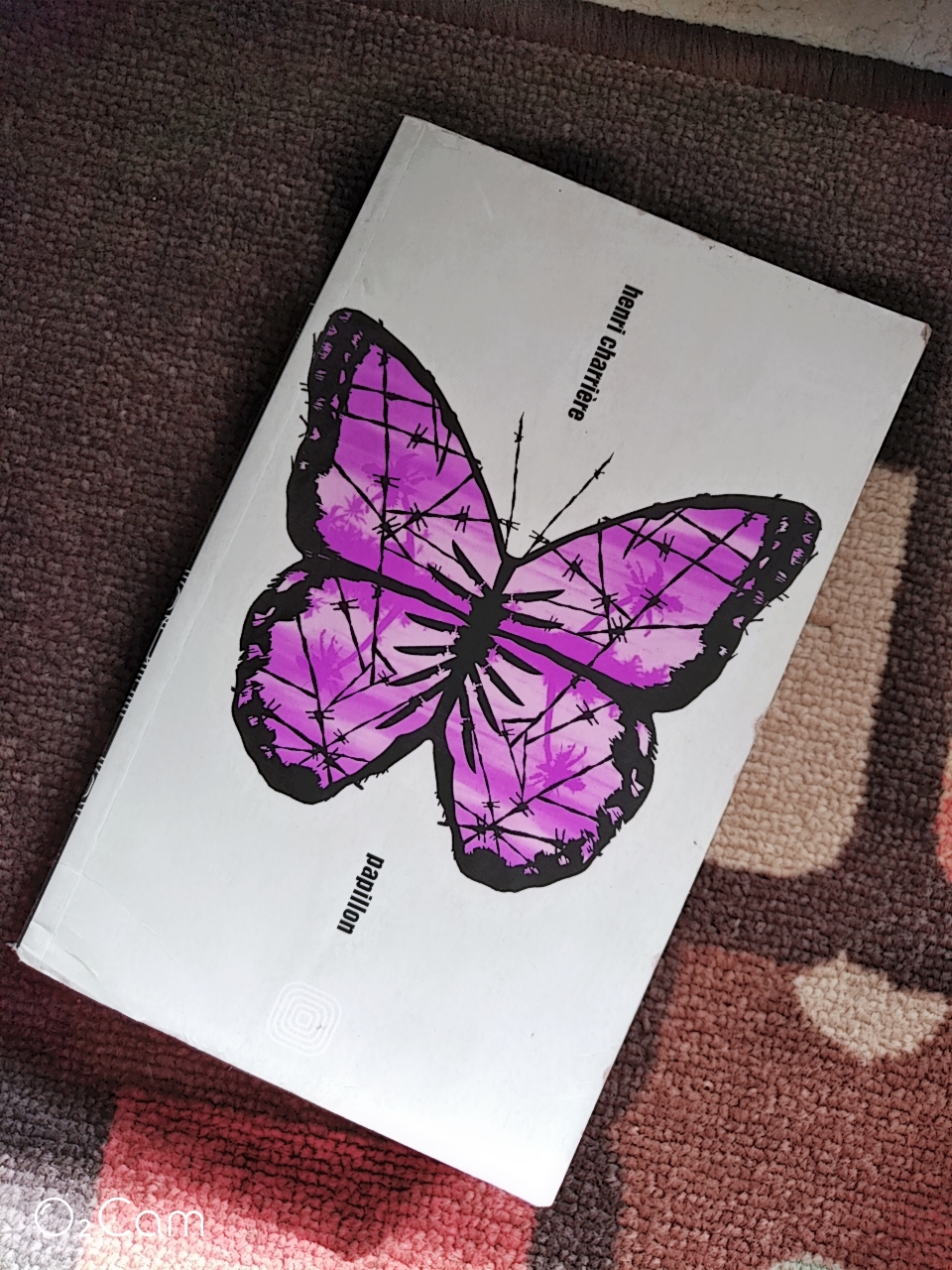 papillon