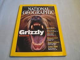july 2001 grizzly cornered!