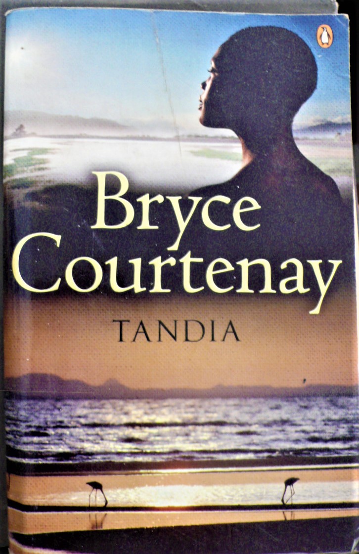 tandia (sequel to the power of one)