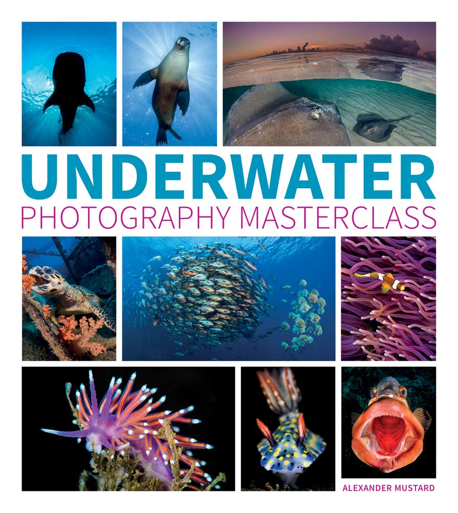 underwater photography masterclass