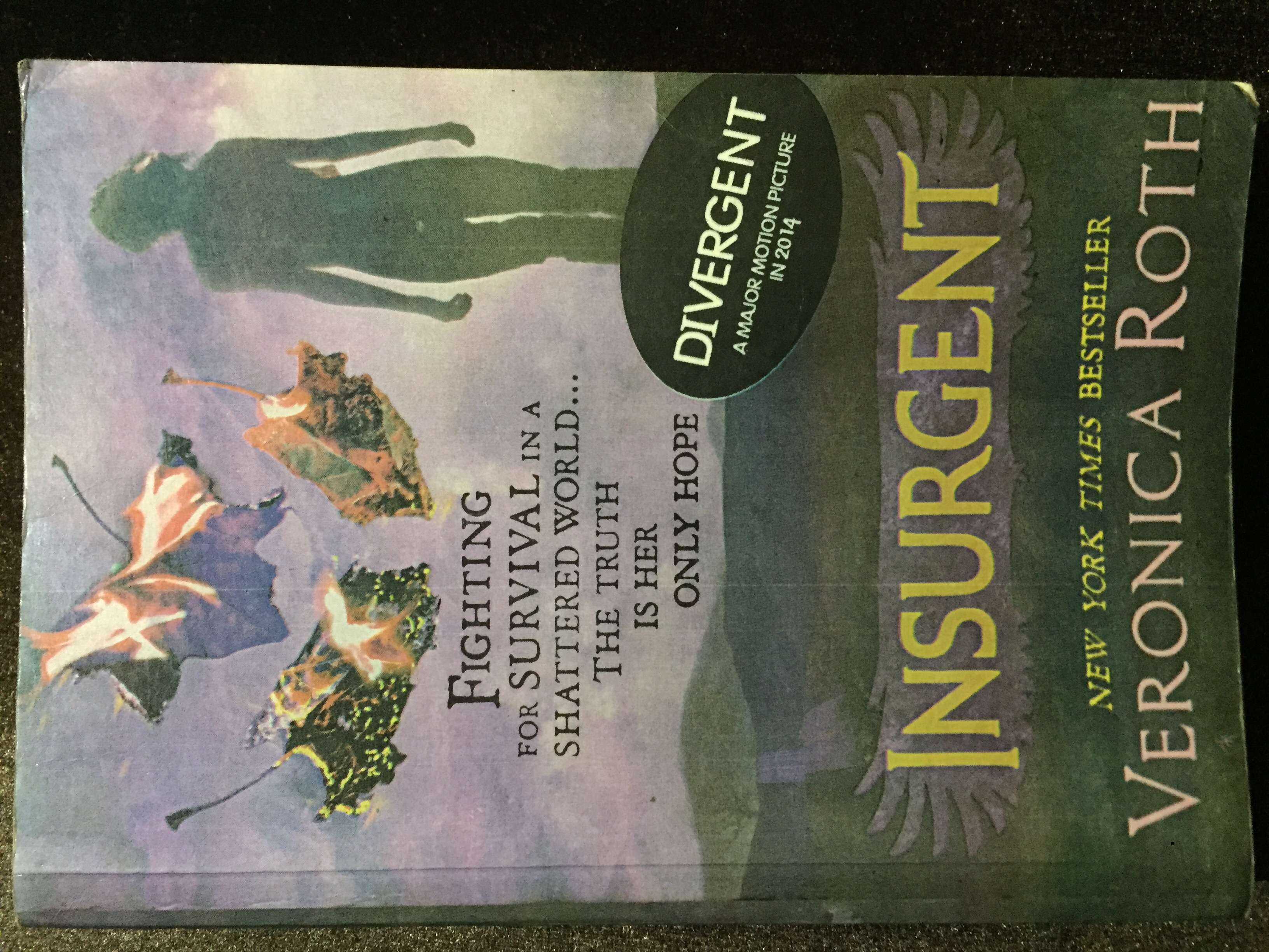 insurgent