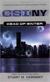 csi : ny -  dead of winter