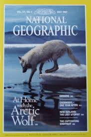 may 1987 at home with the arctic wolf