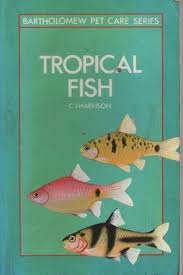 Tropical Fish.
