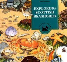 exploring scottish seashores