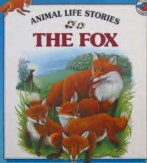 the fox ( animal life stories )
