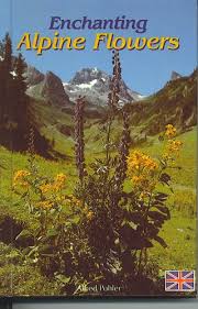 Enchanting Alpine Flowers
