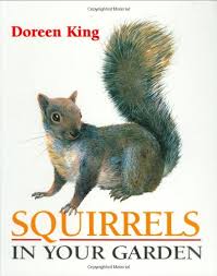 Squirrels in Your Garden
