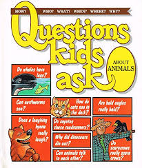 questions kids ask about animals
