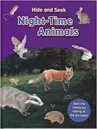 hide and seek night time animals