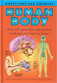 Human Body
