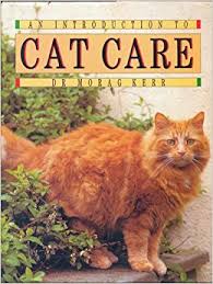 Introduction to Cat Care
