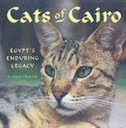 Cats of Cairo: Egypt's Enduring Legacy
