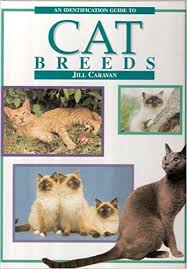 An Identification Guide to Cat Breeds
