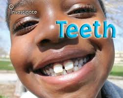 teeth