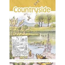 countryside: charming pull-out line drawings to bring to life with colour