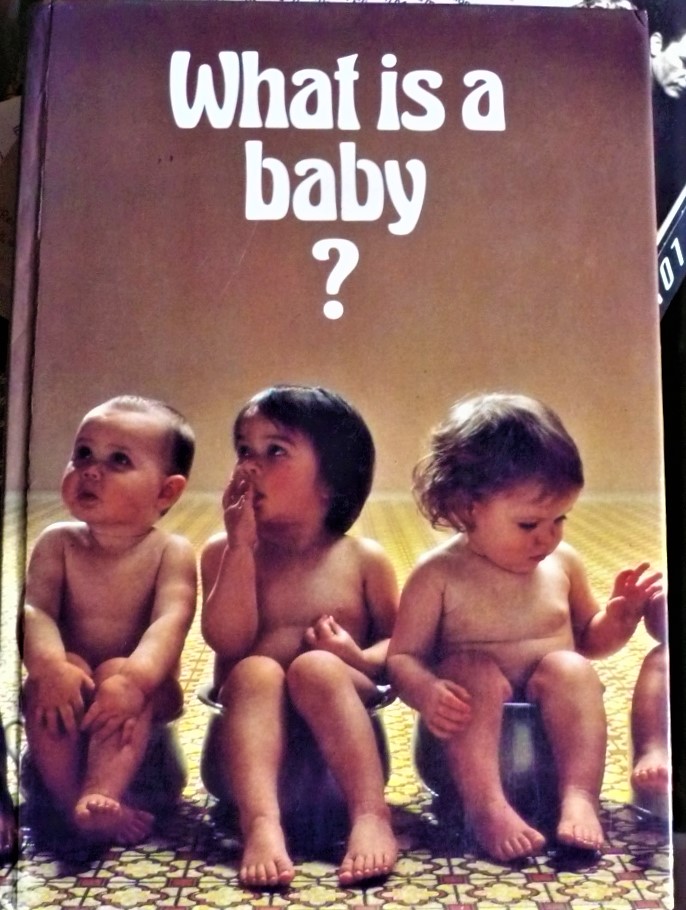 what is a baby?: parents and grandparents describe the fun and frustrations of bringing up a baby
