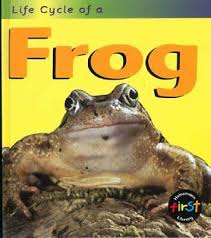 frog (life cycles)