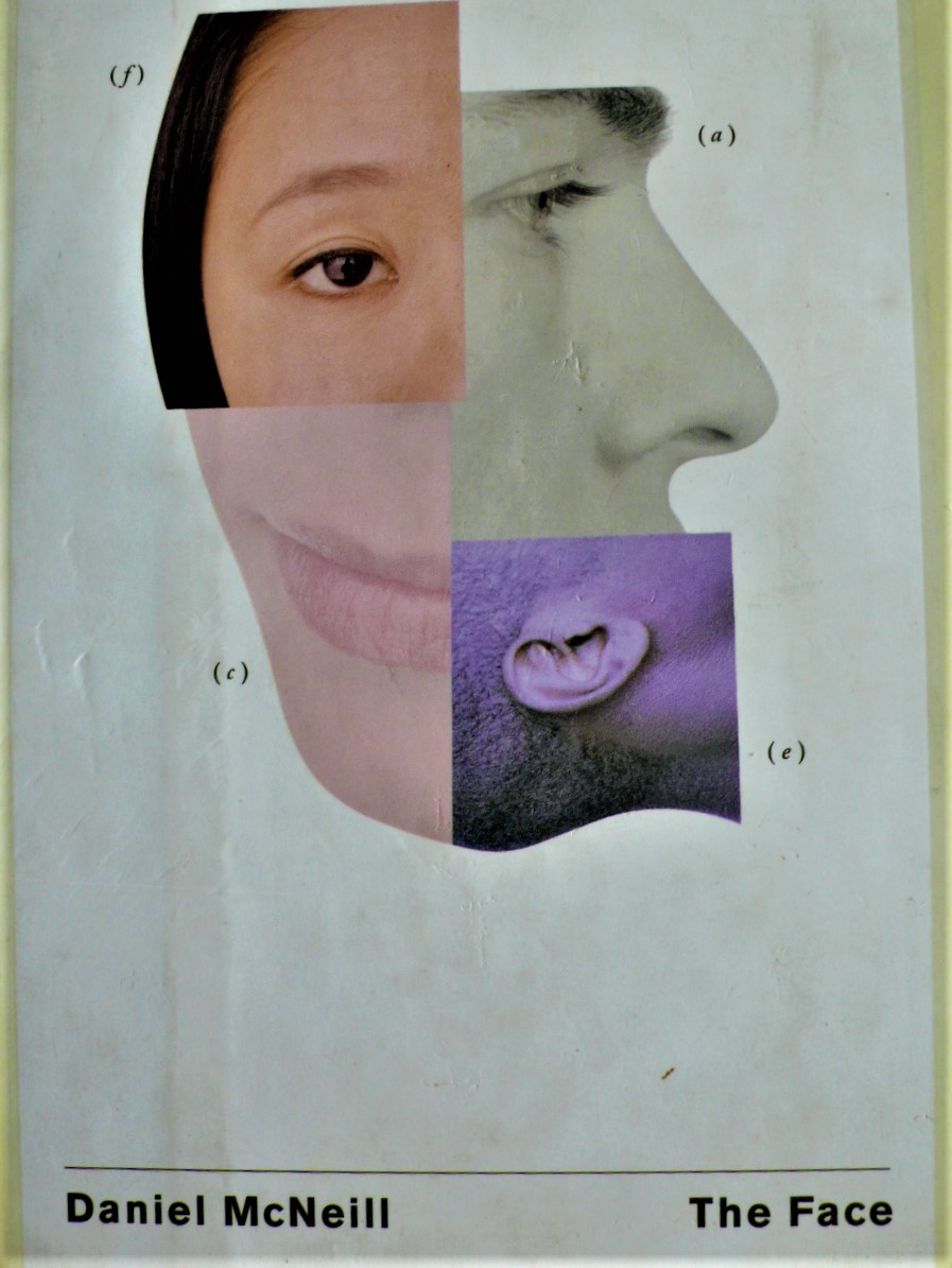 daniel mcneill's the face