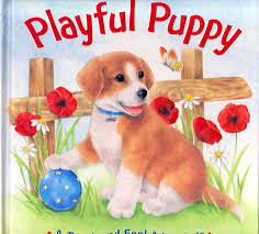 playful puppy ( touch and feel adventure )