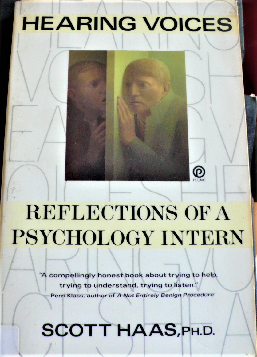hearing voices: reflections of a psychology intern