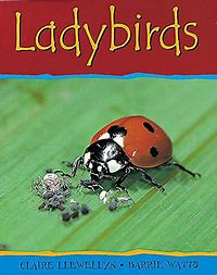 ladybirds