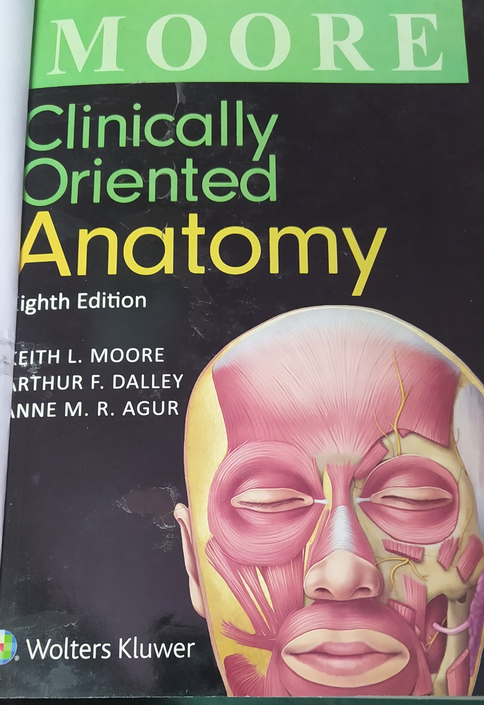 clinically oriented anatomy