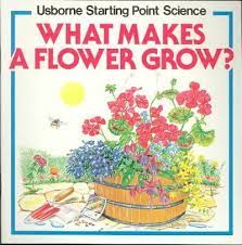 what makes a flower grow?