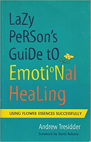 Lazy Person's Guide To Emotional Healing By Andrew
Tresidder
