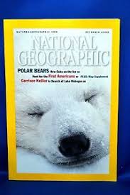Dec 2000 Polar Bears

